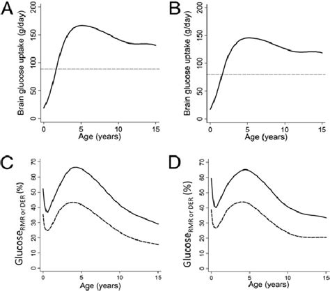 Glucose Use Of The Human Brain By Age A Grams Per Day In Males B Download Scientific