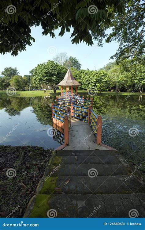 Reflexiones Del Agua En Taman Tasik En Taiping Perak Malasia Imagen