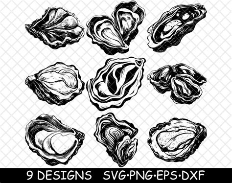 Oyster Shellfish Mollusk Bivalve Seafood Pearl Raw Food Png,svg,eps,cricut,silhouette,cut ...