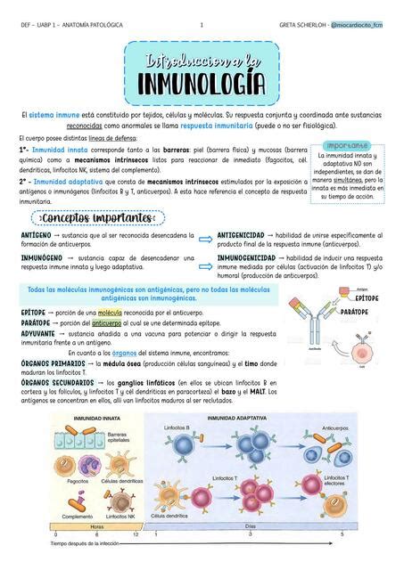 Introducci N A La Inmunolog A Miocardiocito Udocz