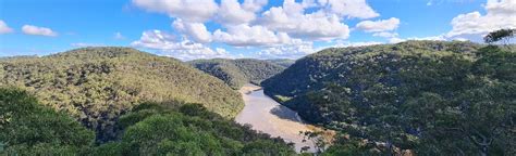 Great North Walk Thornleigh To Cowan New South Wales Australia 197