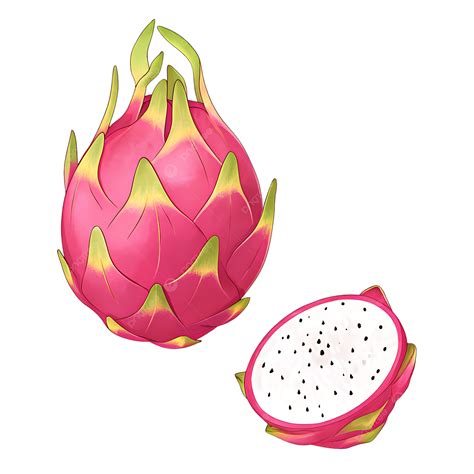 Vibrant Illustration Of A Dragon Fruit Whole And Sliced, Dragon Fruit