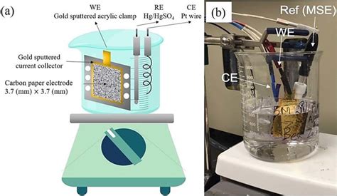 Accelerated Corrosion Experimental Setup Including A The Schematic Download Scientific