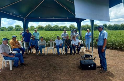 Evaluaci N Y Desarrollo De Cultivos De Soya En Cooperaci N Con Intagro