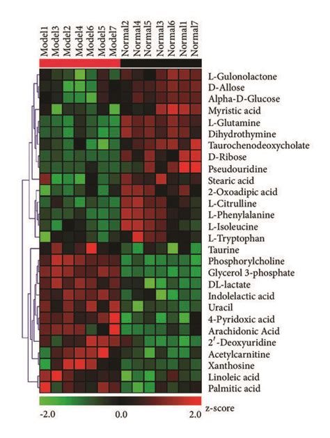 Heatmap Visualization Of Differential Metabolites A B The Model Vs