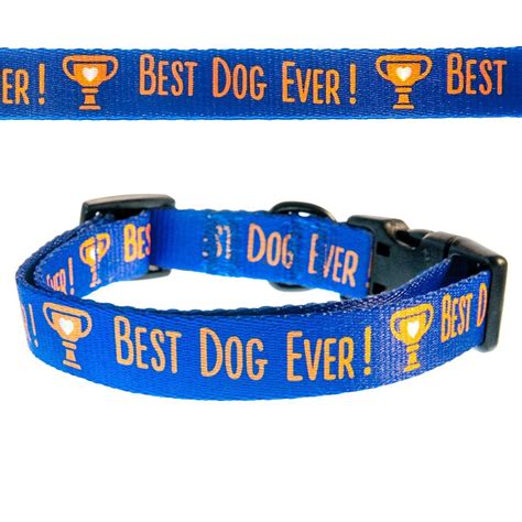 Punchline Pet Best Dog Ever! Funny Dog Collar *** Find out more about ...