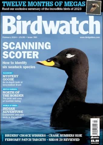 BirdGuides : UK and Worldwide Birding News, Sightings and Alerts ...