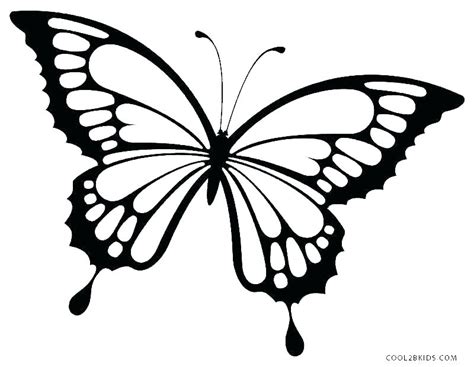 Monarch Butterfly Line Drawing | Free download on ClipArtMag