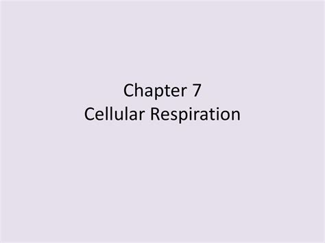 Chapter 7 Cellular Respiration Ppt Download