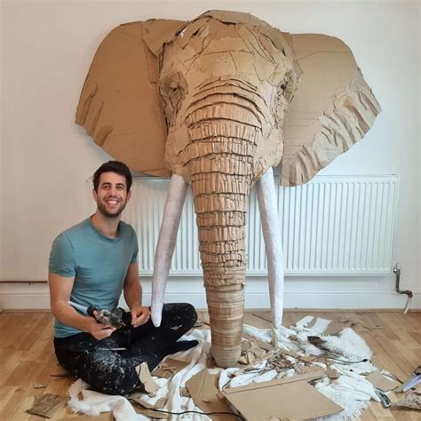 Les sculptures réalistes d animaux sauvages en carton de Josh Gluckstein