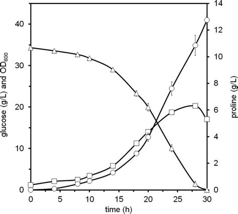 Growth Substrate Consumption And Proline Formation By C Glutamicum