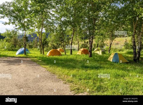 Six Dome Tents Set Up In A Field Of Green Grass And Aspen And Pine