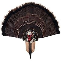 Amazon Walnut Hollow Country Turkey Fan Mount Display Kit Oak