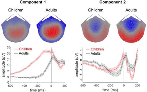 Scalp Topographies And Component Grand Average Waveforms For