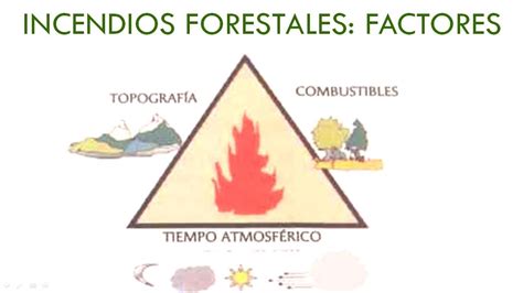 Incendios Forestales Factores Youtube