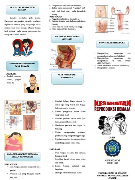 Contoh Poster Pencegahan Penyakit Pada Sistem Reproduksi Manusia