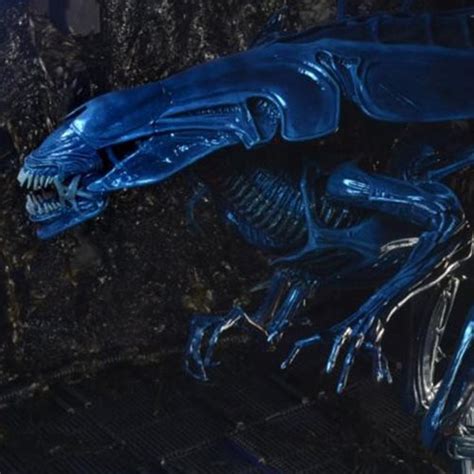 Neca Aliens Xenomorph Queen Deluxe Reissue Is Up For Pre Order Geek