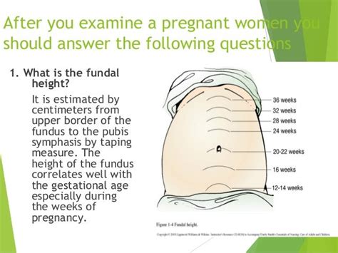 Obstetric Physical Examination