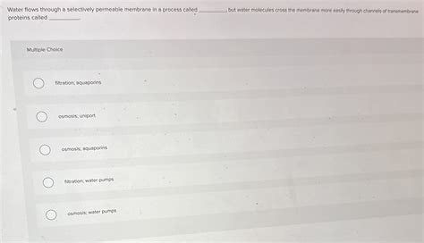 Solved Water Flows Through A Selectively Permeable Membrane Chegg