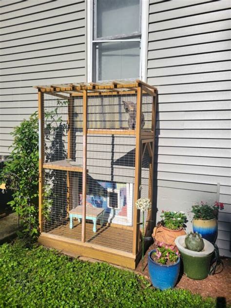 How To Build A Catio Diy Catio Tutorial • Refresh Living