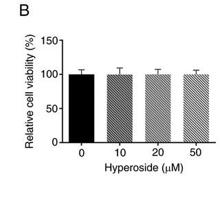 Hyperoside Enhances Tnf Induced Viability Of Hnpcs A Chemical