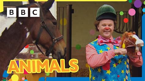 Mr Tumble Loves Animals 🐴🦆🐶 30 Minutes Mr Tumble And Friends