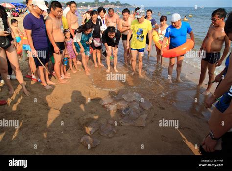 Beidaihe beach hi-res stock photography and images - Alamy