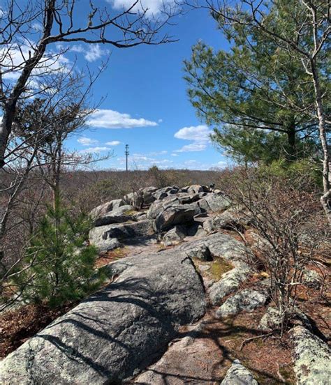 2 Cemetery Trail At Pardon Gray Preserve Tiverton Tiverton Walking