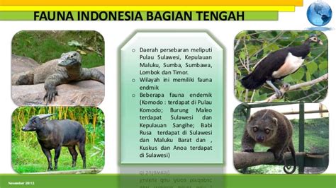 Persebaran Fauna Di Indonesia Bagian Barat Tengah Dan Timur