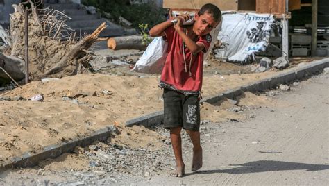 Gaza Selon Des Experts Nommés Par Lonu Des Enfants Meurent Dune Campagne De Famine