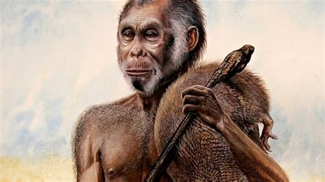 Un Hobbit En La Vida Real El Homo Floresiensis Mundotv Youtube