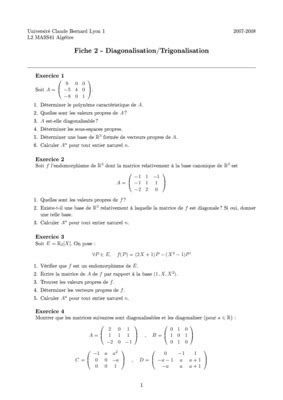 Diagonalisation Et Trigonalisation Des Matrices Carrees Pdf Notice