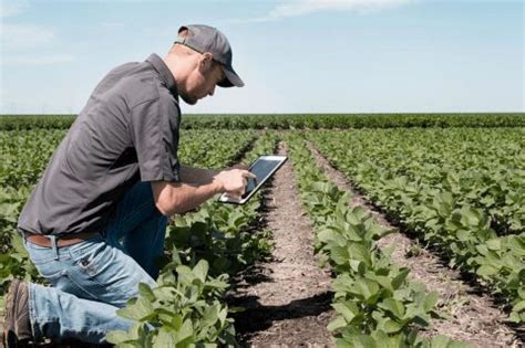 Conoce El Rol Del Ingeniero Agr Nomo Agroingenia Canarias