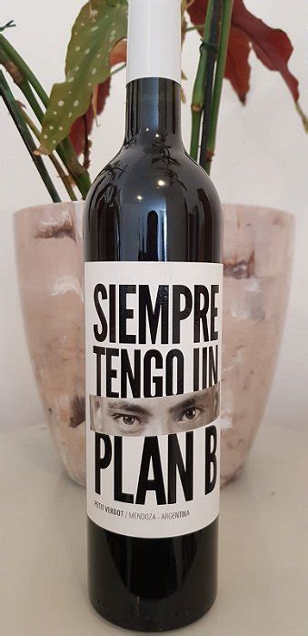 Vinho Tinto Argentino Siempre Tengo Un Plan B Petit Verdot 750ml