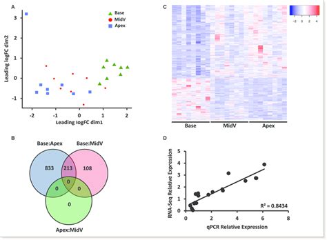 RNAseq Data Analysis A Multidimensional Scaling Plot Generated With