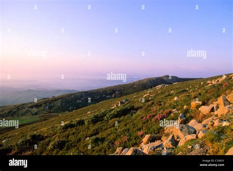 Foja Mountains Hi Res Stock Photography And Images Alamy