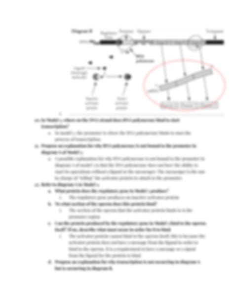 Solution Answer Key Pogil Activity Control Of Gene Expression In