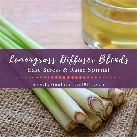 Lemongrass Diffuser Blends 10 Stress Relief Essential Oil Recipes