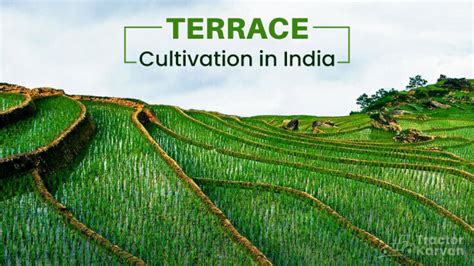 What Is Terrace Cultivation Use And Benefits Tractorkarvan