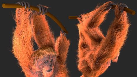 Orangutan Hanging On Branch Fur 3d Model 129 Max Free3d