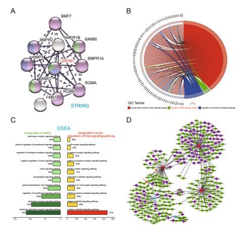 Lncrna Pvt Facilitates Tumorigenesis And Progression Of Glioma Via