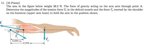 Solved The Arm In The Figure Below Weighs 382 N The Force