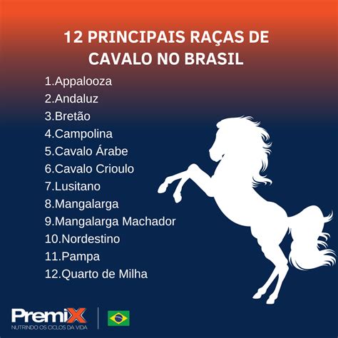 Raças de cavalo no Brasil quais as principais Blog Premix