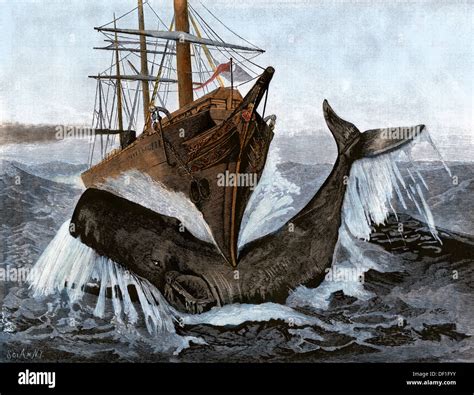 Bow of the ship "Essex" sunk after striking a whale, 1820. Hand-colored ...