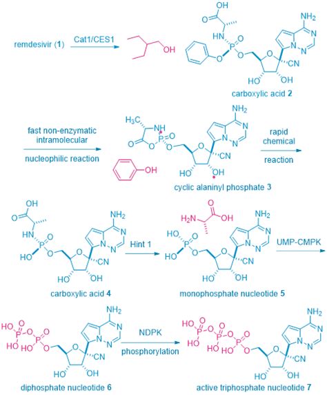 How Does Remdesivir Work? | ChemPartner