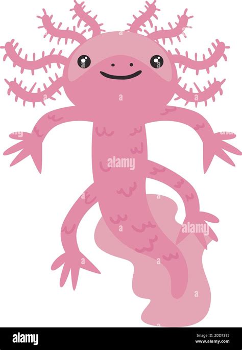 Axolotl Salamander Cute On White Background Vector Illustration Design