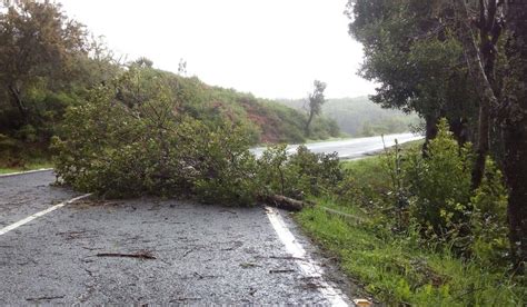 Declaran La Alerta Por Vientos Que Podr An Superar Los Km H En Canarias