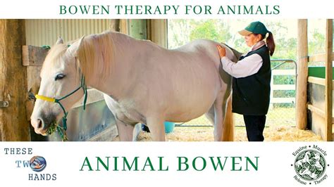 Animal Bowen Therapy Ali Goward Talks About Her Experience With