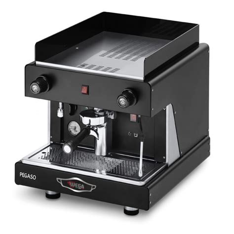 Wega Pegaso Espresso Machine