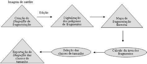 Etapas Metodológicas Para Elaboração Do Mapa De Fragmentação Florestal